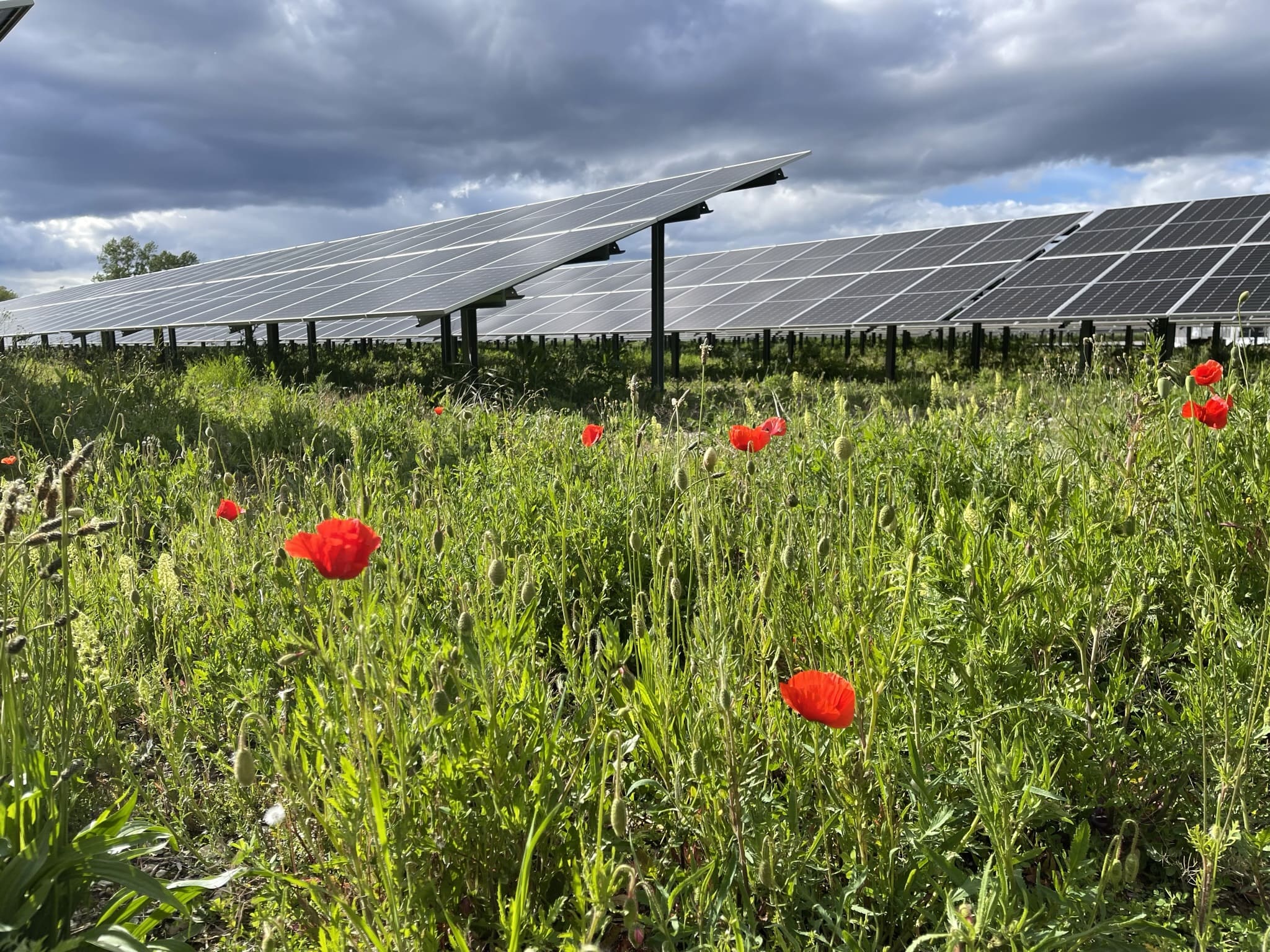 découvrez notre ferme solaire, un espace innovant dédié à la production d'énergie renouvelable. engagez-vous pour un avenir durable avec des solutions énergétiques propres et une réduction de l'empreinte carbone. rejoignez le mouvement vers une planète plus verte !