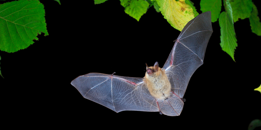 découvrez notre guide complet sur les panneaux photovoltaïques (pv) : avantages, installation, et conseils pour optimiser votre production d'énergie solaire. informez-vous sur les meilleures pratiques pour tirer parti de l'énergie renouvelable et réduire votre empreinte carbone.