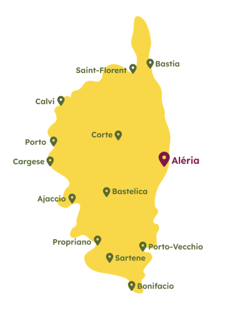 découvrez les services d'un installateur solaire à ajaccio pour optimiser votre transition énergétique. profitez d'une expertise locale pour l'installation de panneaux solaires performants et adaptés à vos besoins.