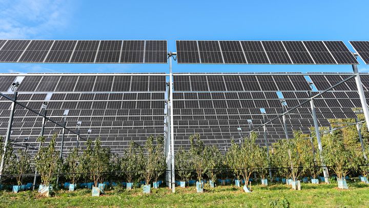 découvrez comment devenir investisseur dans l'énergie photovoltaïque au service de l'agriculture. explorez les avantages de l'intégration de panneaux solaires sur vos exploitations agricoles et maximisez vos revenus tout en contribuant à une agriculture durable.
