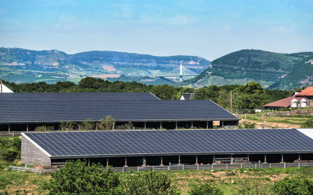 découvrez le lauréat photovoltaïque 2025, une innovation majeure dans le secteur de l'énergie renouvelable. cette initiative met en lumière des projets prometteurs qui contribuent à un avenir durable et écologique. restez informé des derniers développements et des technologies révolutionnaires dans le domaine du photovoltaïque.
