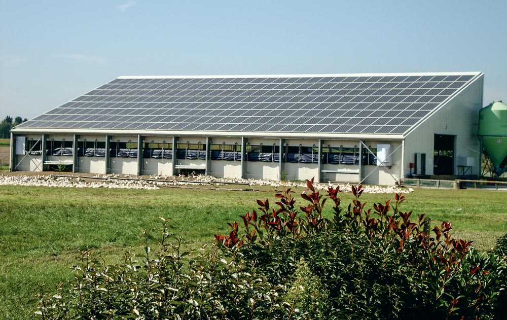 découvrez l'importance de la maintenance photovoltaïque pour maximiser l'efficacité de vos installations solaires. nos services garantissent un fonctionnement optimal et une longévité accrue de vos panneaux solaires.