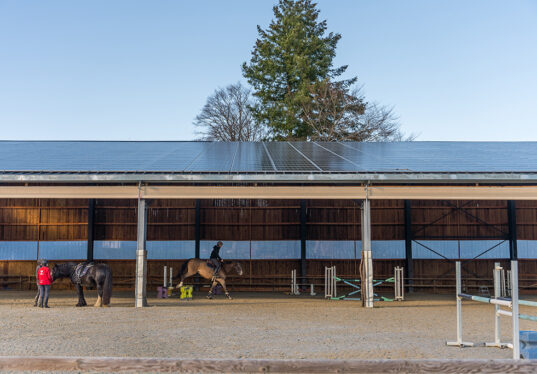 découvrez notre manège équestre solaire, un espace innovant alliant passion pour l'équitation et respect de l'environnement. profitez d'une ambiance unique et écologique pour travailler avec votre cheval grâce à une énergie renouvelable.