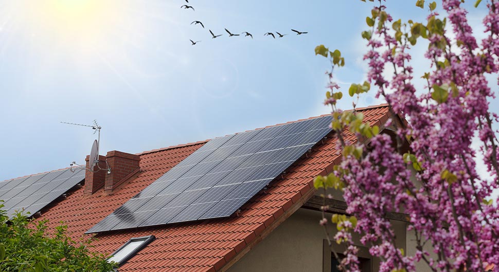découvrez tout ce qu'il faut savoir sur le nombre de panneaux photovoltaïques nécessaires pour optimiser votre production d'énergie solaire. apprenez à évaluer vos besoins énergétiques et à choisir le bon nombre de panneaux pour maximiser votre investissement.