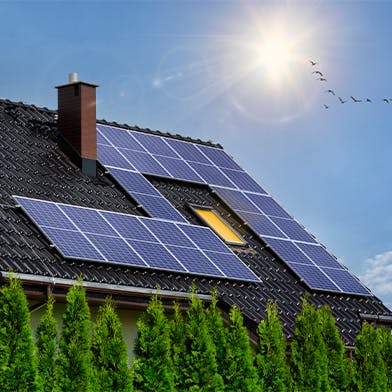 découvrez notre offre exceptionnelle de panneaux photovoltaïques à 1 euro ! profitez de cette opportunité pour produire votre propre électricité, réduire votre facture énergétique et contribuer à la transition écologique. ne manquez pas cette chance d'investir dans un avenir plus vert.