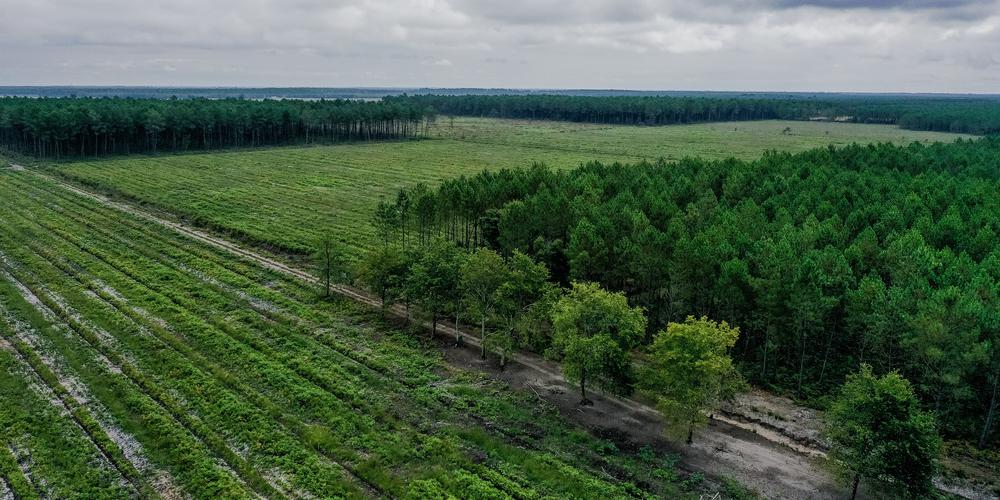 découvrez le parc solaire de saucats, un site incontournable dédié à la production d'énergie renouvelable. explorez les avancées technologiques et l'engagement envers la durabilité, tout en contribuant à un avenir énergétique plus vert.