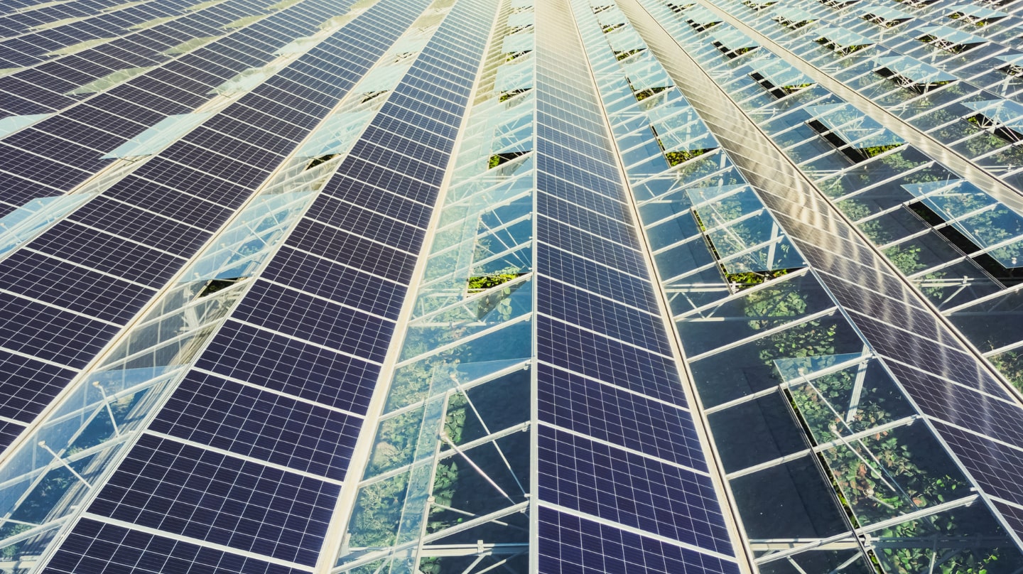 découvrez les avantages de l'énergie photovoltaïque, une solution durable et écologique pour produire de l'électricité grâce à la lumière du soleil. apprenez comment cette technologie innovante peut réduire vos factures d'énergie et contribuer à la protection de l'environnement.