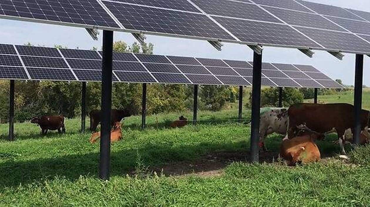 découvrez les tendances et innovations du photovoltaïque agricole en 2025. apprenez comment cette technologie durable transforme l'agriculture en optimisant la production énergétique tout en préservant l'environnement.