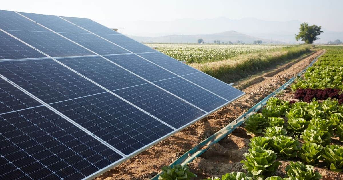 découvrez comment les systèmes photovoltaïques agricoles transforment l'énergie solaire en ressources durables pour les exploitations agricoles. optimisez vos rendements tout en réduisant votre empreinte carbone grâce à des solutions innovantes adaptées aux besoins du secteur agricole.