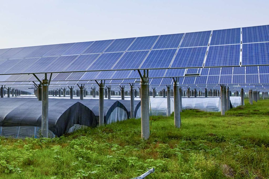 découvrez les avantages du prêt photovoltaïque pour financer votre projet d'installation solaire. transformez votre consommation d'énergie tout en bénéficiant d'un soutien financier adapté à vos besoins.