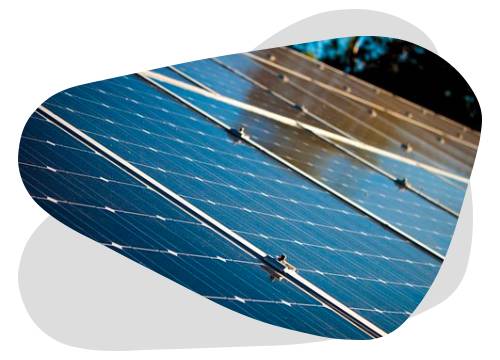 découvrez tout ce qu'il faut savoir sur les prix des films photovoltaïques. comparez les options, explorez les avantages économiques et les performances de cette technologie innovante pour une énergie durable et à moindre coût.