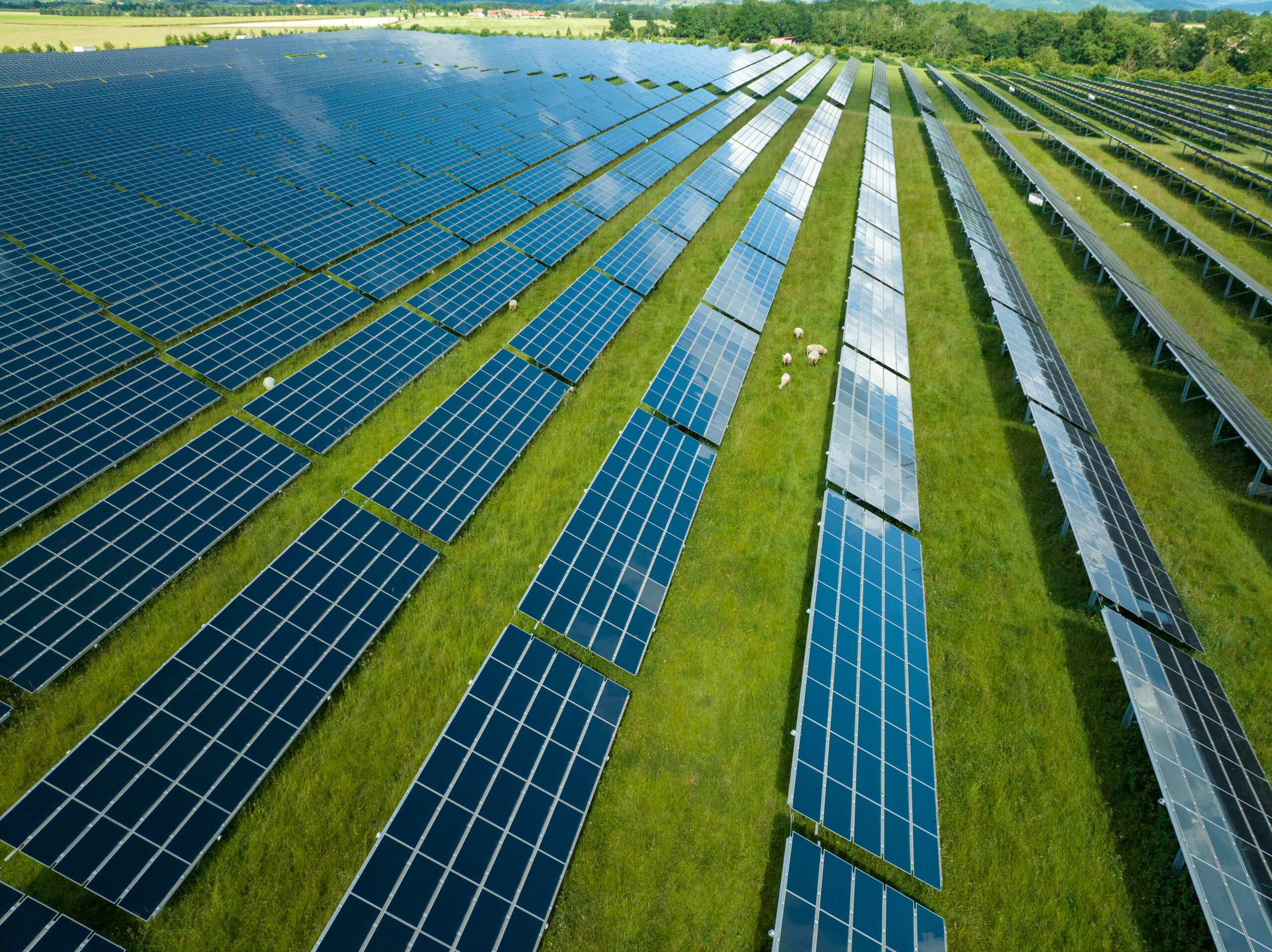 découvrez tout sur l'énergie solaire : avantages, technologies, applications et conseils pour optimiser l'utilisation des panneaux solaires. informez-vous sur les solutions écologiques pour un avenir durable.