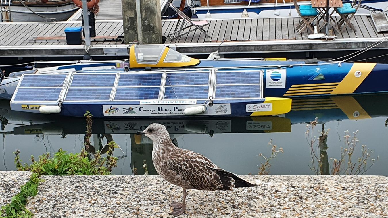 découvrez les solutions d'énergie solaire à rouen pour réduire votre facture d'électricité et contribuer à la protection de l'environnement. profitez d'installations photovoltaïques adaptées à vos besoins et bénéficiez de conseils d'experts en énergie renouvelable.