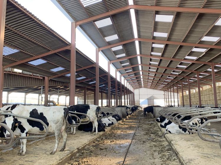 découvrez la stabulation en photovoltaïque (pv), une méthode innovante alliant agriculture et énergie renouvelable. apprenez comment optimiser l'espace de vos cultures tout en produisant de l'électricité verte. explorez les avantages économiques et environnementaux de cette solution durable.