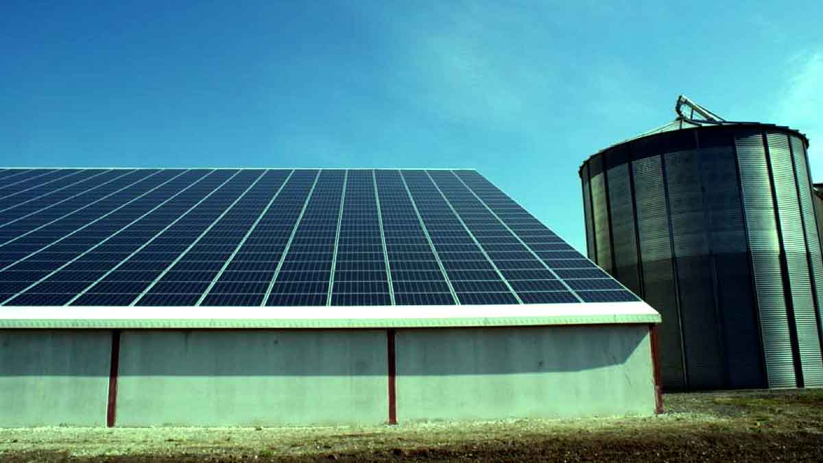 découvrez les avantages d'une toiture agricole photovoltaïque : maximisez la production d'énergie renouvelable sur votre exploitation, réduisez vos coûts énergétiques et contribuez à une agriculture durable. transformez votre toit en une source d'énergie propre et économisez tout en préservant l'environnement.