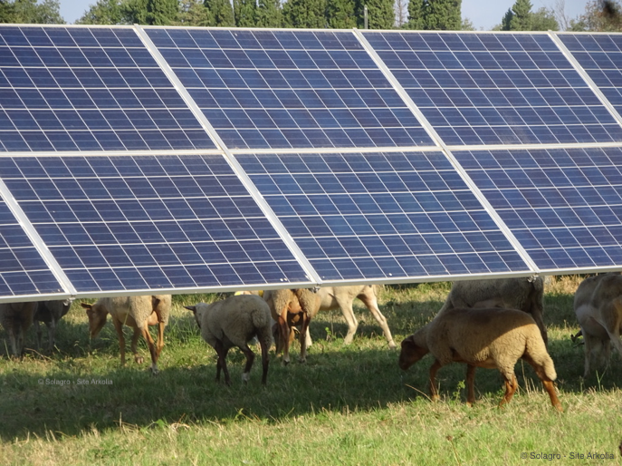 découvrez arkolia pv, une solution innovante pour la production d'énergie solaire. notre expertise en photovoltaïque vous accompagne dans votre transition énergétique, avec des panneaux solaires performants et écologiques. optimisez votre consommation d'énergie et réduisez votre empreinte carbone grâce à nos technologies avancées.