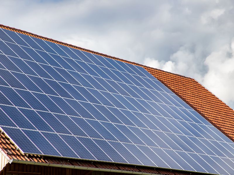 découvrez notre balai spécialement conçu pour nettoyer efficacement vos panneaux solaires. optimisez la performance de vos installations photovoltaïques avec un outil pratique et respectueux de l'environnement.