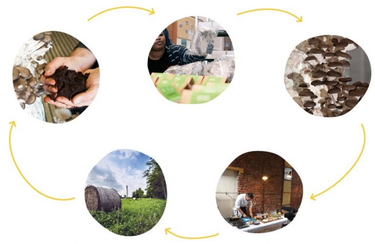 découvrez les principes de l'économie durable, une approche innovante qui allie croissance économique, préservation de l'environnement et équité sociale. apprenez comment cette économie responsable peut transformer nos sociétés pour un avenir plus vert.