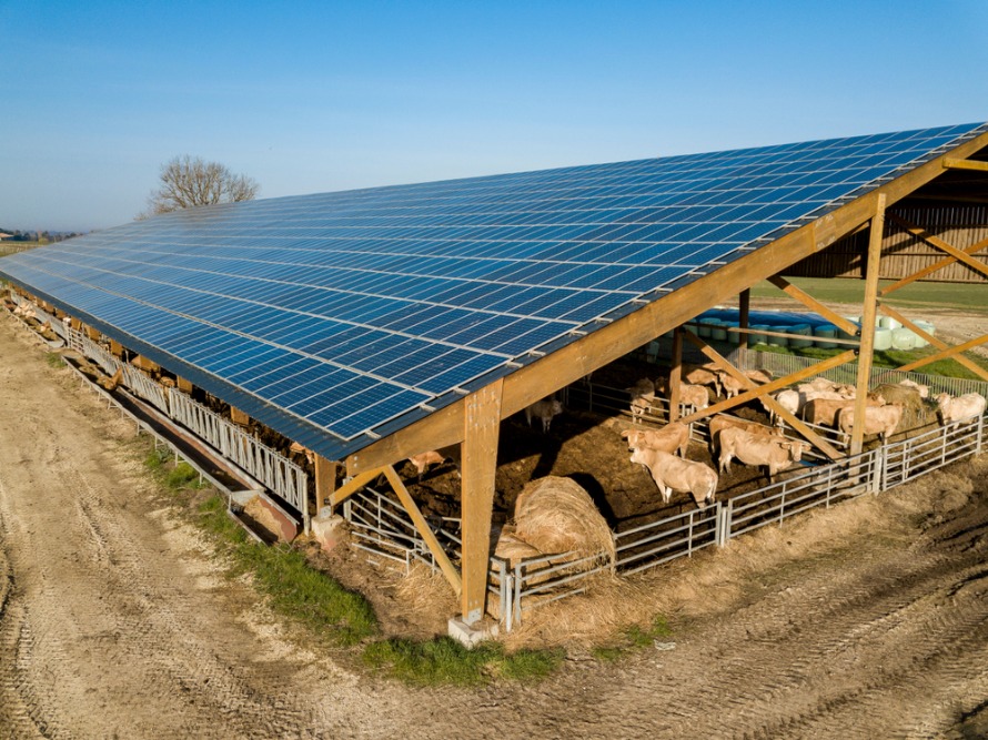 découvrez notre ferme photovoltaïque, une solution innovante et durable pour produire de l'énergie verte. explorez comment nous exploitons la puissance du soleil pour contribuer à la transition énergétique tout en préservant l'environnement.