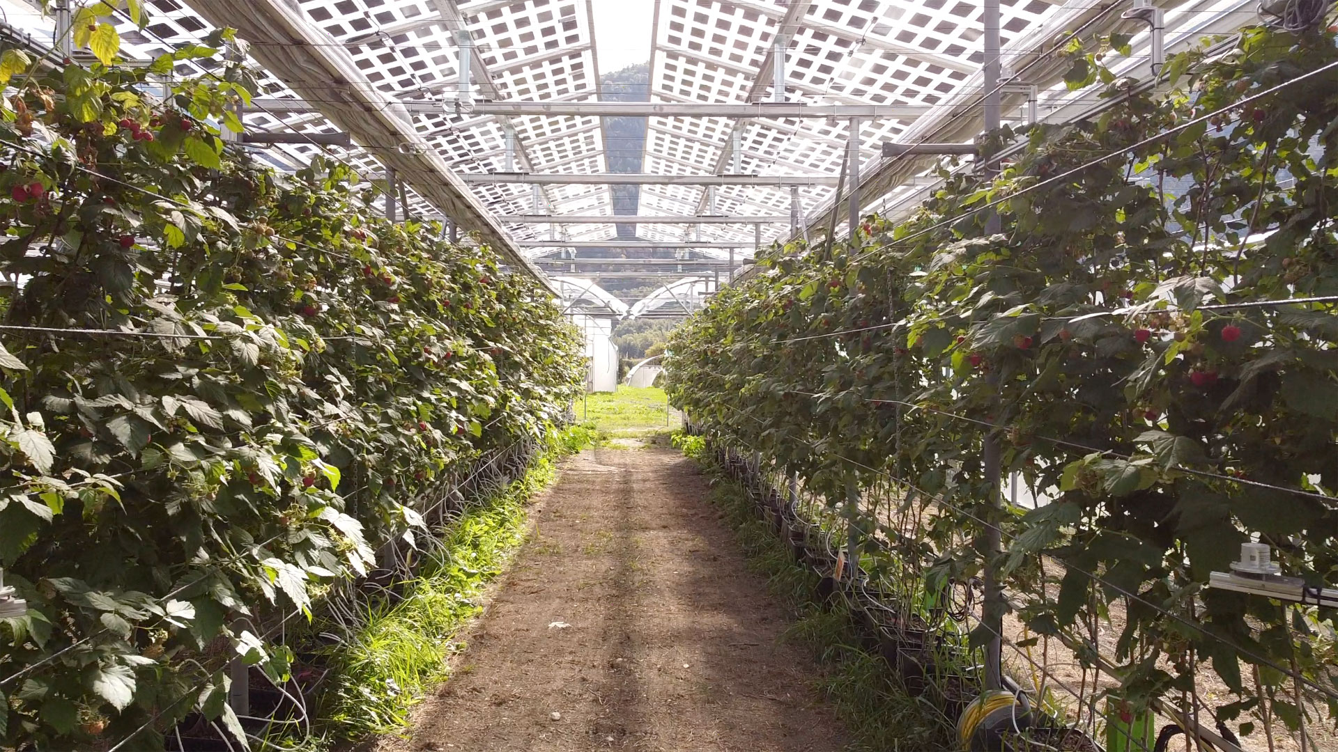 découvrez insolight, l'innovation au service de l'énergie solaire. transformez la lumière du soleil en une source d'énergie durable et efficace pour votre foyer grâce à nos technologies de pointe. rejoignez la révolution verte et adoptez une solution écologique pour un avenir plus lumineux.