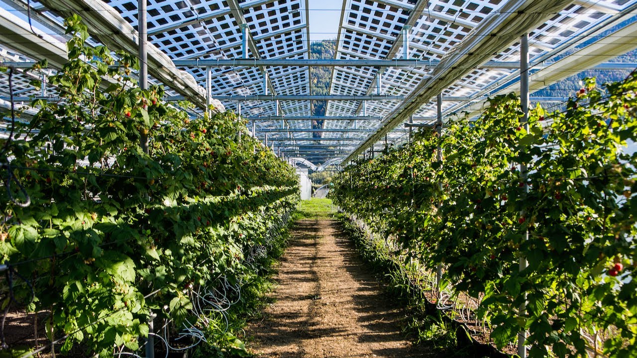 découvrez insolight, une entreprise innovante spécialisée dans les solutions solaires intelligentes et durables. transformez votre consommation énergétique avec des technologies de pointe qui maximisent l'efficacité et réduisent votre empreinte carbone.