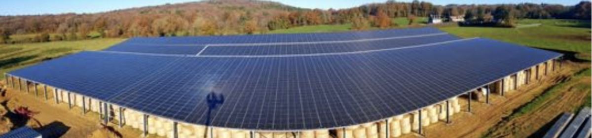 découvrez notre nouveau partenariat avec émeraude solaire, un acteur engagé dans les énergies renouvelables. ensemble, nous œuvrons pour un avenir durable grâce à des solutions solaires innovantes et respectueuses de l'environnement. rejoignez-nous dans cette aventure vers une planète plus verte.