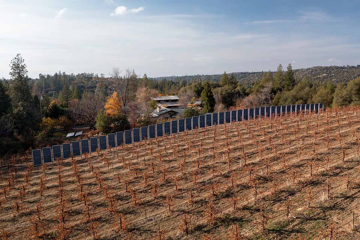 découvrez notre palissade solaire innovante, alliant esthétisme et durabilité. idéale pour délimiter votre espace extérieur tout en produisant de l'énergie verte, cette solution est parfaite pour ceux qui veulent allier écologie et style. transformez votre jardin avec notre palissade respectueuse de l'environnement.