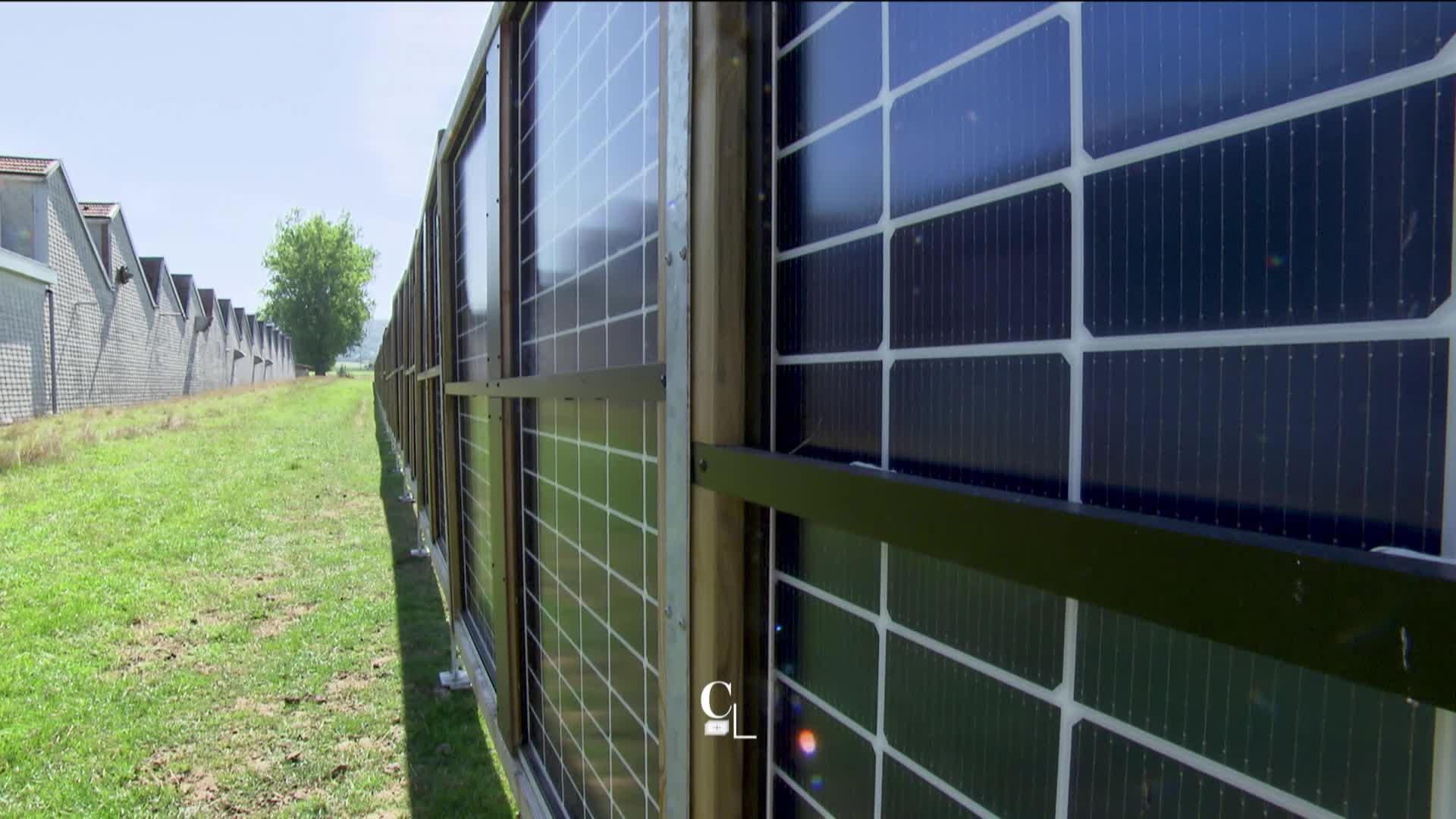 découvrez la palissade solaire, une solution innovante et écologique pour délimiter votre jardin tout en utilisant l'énergie solaire. éclairez votre espace extérieur avec style tout en préservant l'environnement.