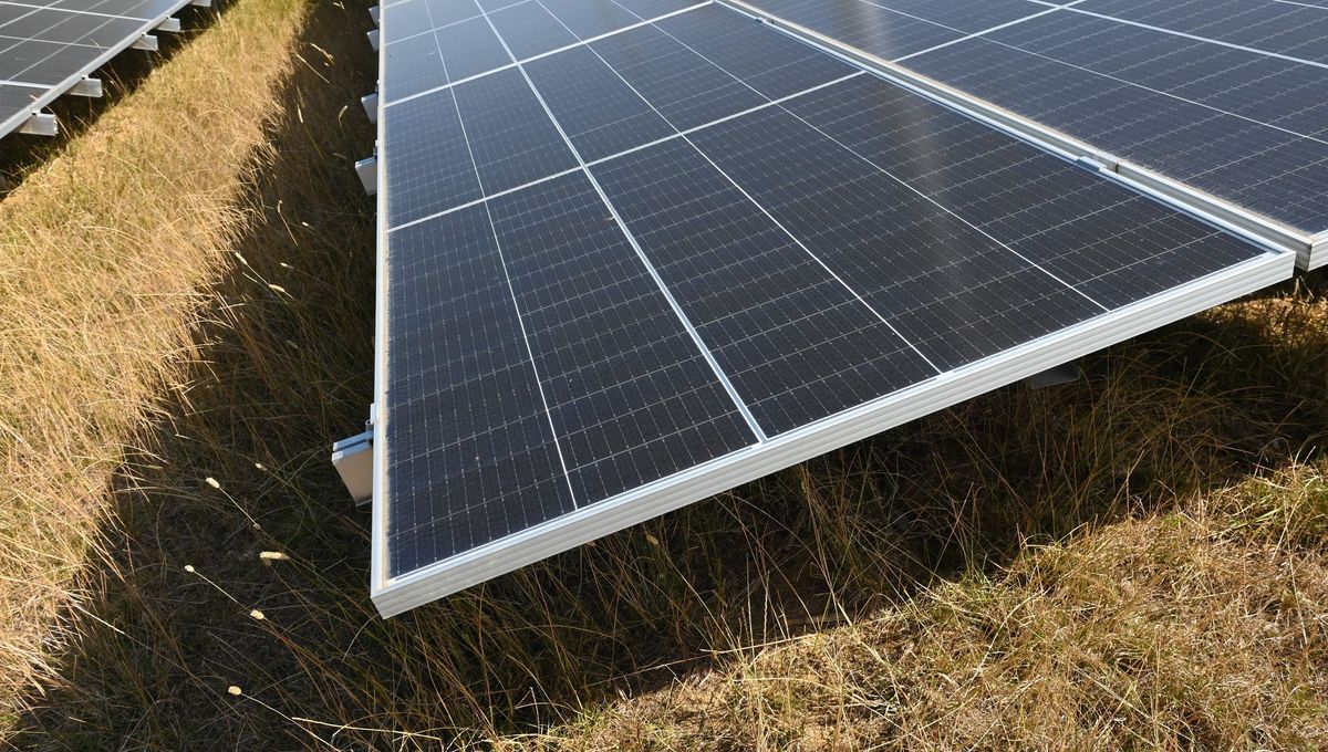 découvrez nos projets photovoltaïques innovants et durables. profitez d'une énergie propre et renouvelable tout en contribuant à la transition énergétique. explorez nos solutions sur mesure pour optimiser votre consommation d'électricité.