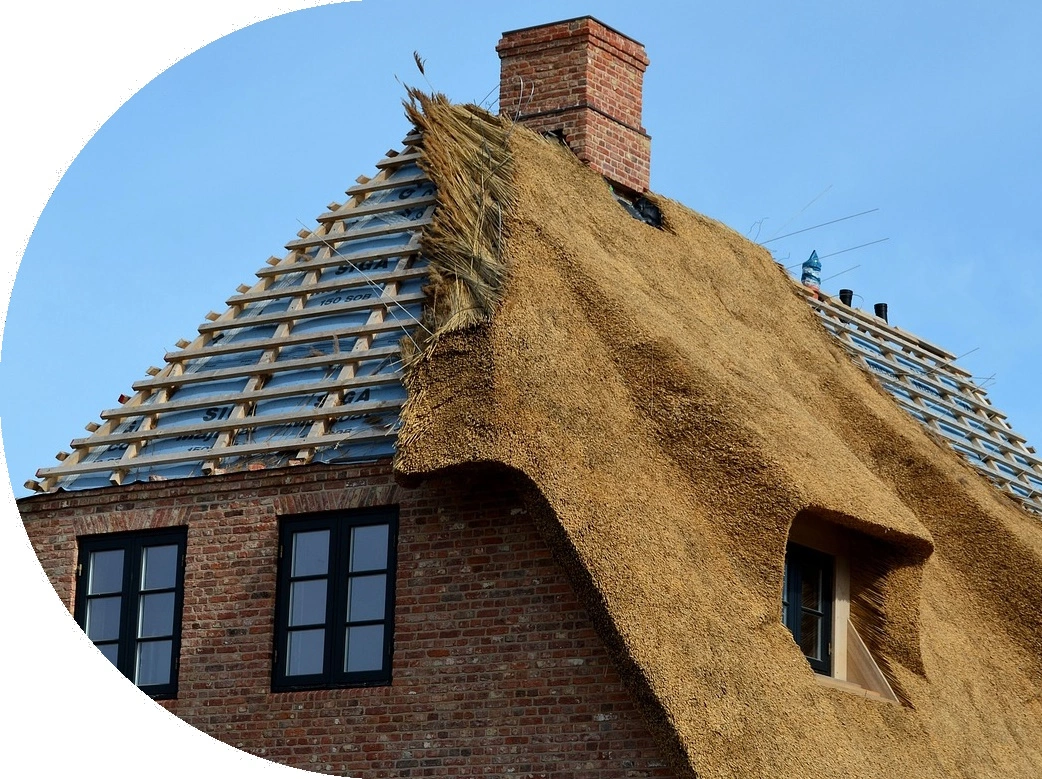 découvrez notre offre exceptionnelle de toiture gratuite ! profitez d'une évaluation complète et d'un service de qualité pour protéger votre maison sans frais. ne laissez pas passer cette chance d'améliorer votre habitat.