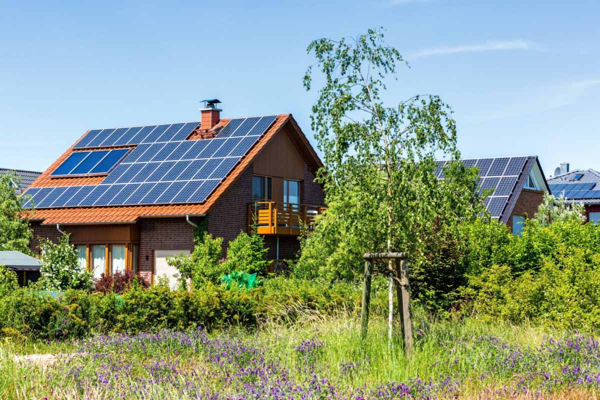 découvrez notre guide complet sur l'achat de panneaux solaires. comparez les modèles, bénéficiez de conseils d'experts et trouvez les meilleures offres pour une énergie renouvelable à domicile.