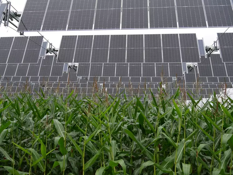 découvrez le potentiel des systèmes agri-photovoltaïques, une solution innovante combinant agriculture et production d'énergie solaire. optimisez vos terres tout en produisant une énergie verte et durable.