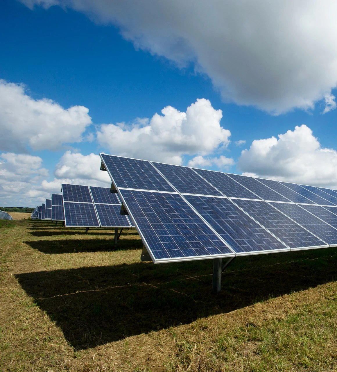 découvrez notre assurance photovoltaïque complète, spécialement conçue pour protéger votre installation solaire contre les aléas et garantir un rendement optimal. protégez votre investissement tout en contribuant à un avenir durable.