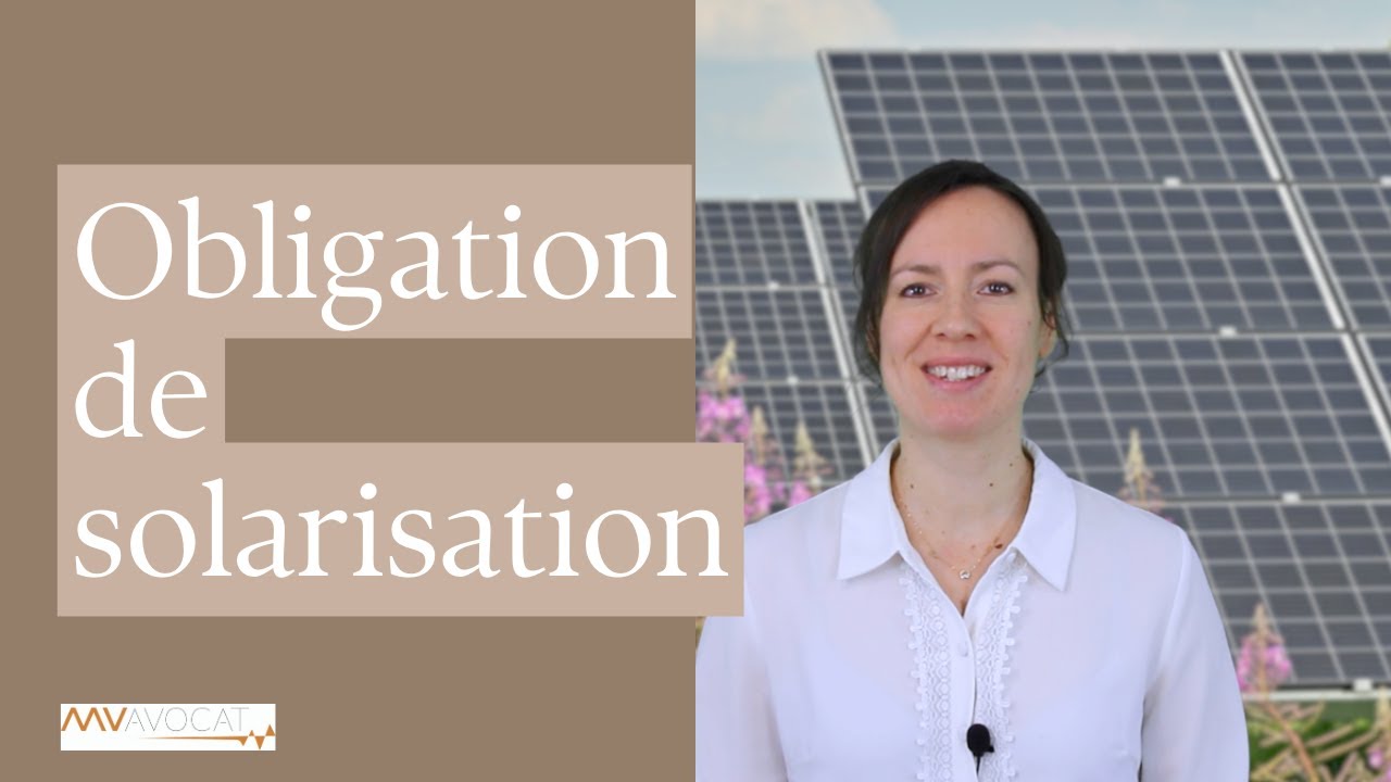 découvrez l'expertise d'un avocat spécialisé en photovoltaïque pour vous accompagner dans vos projets d'énergie solaire. bénéficiez de conseils juridiques adaptés et d'une assistance pour naviguer dans la réglementation et optimiser vos installations. contactez-nous dès aujourd'hui pour une consultation personnalisée.