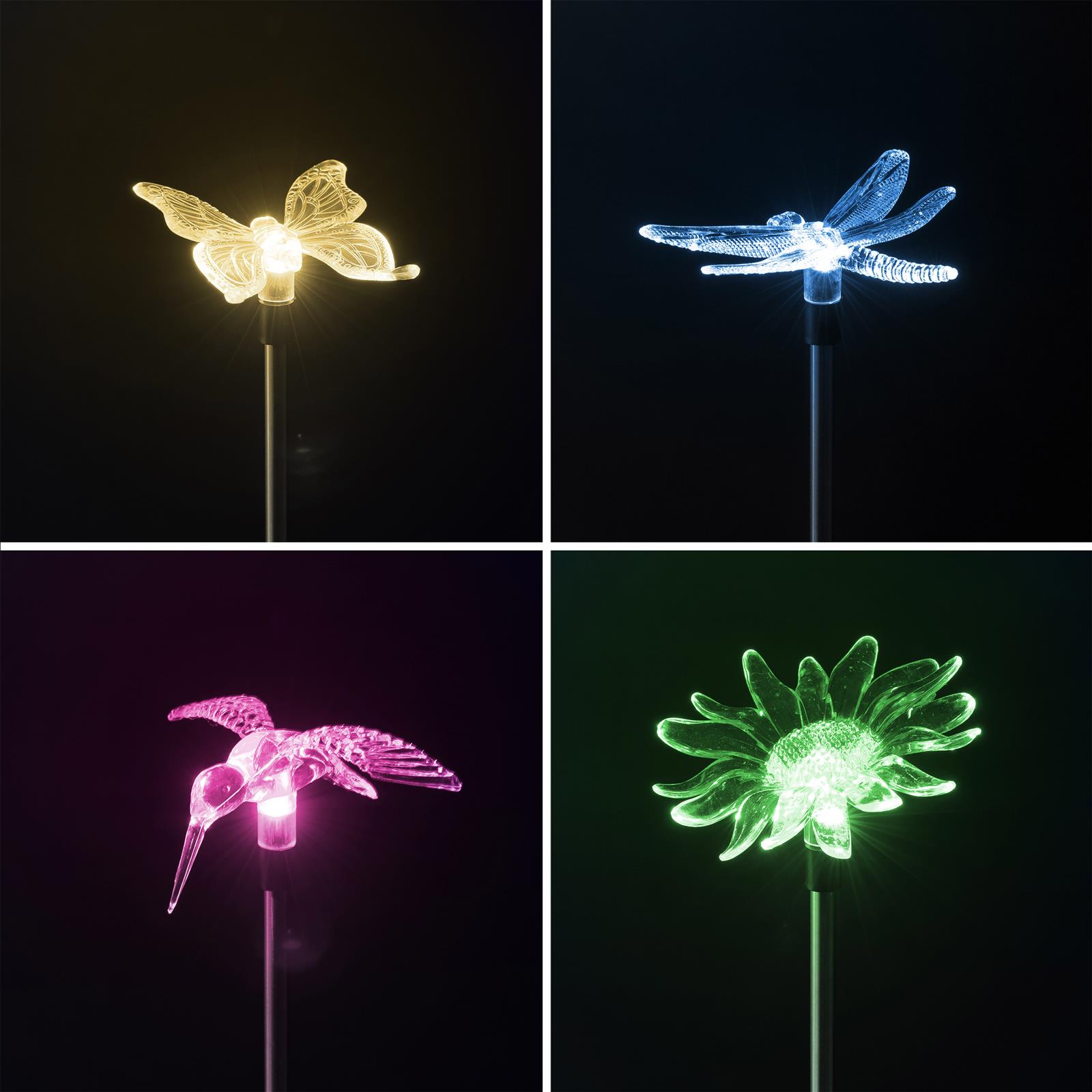 découvrez le colibri solaire, une espèce fascinante aux couleurs éclatantes et aux capacités uniques. apprenez-en davantage sur son habitat, ses comportements et son rôle essentiel dans l'écosystème. explorez la beauté et l'ingéniosité de cet oiseau exceptionnel.