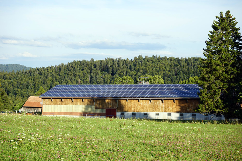 découvrez l'écurie solaire, un espace innovant alliant passion équestre et énergie renouvelable. profitez de nos installations écologiques pour le bien-être de vos chevaux tout en préservant l'environnement.