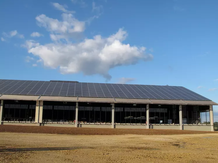 découvrez l'élevage photovoltaïque : une innovation durable alliant agriculture et production d'énergie verte. optimisez vos terres tout en contribuant à la transition énergétique. informez-vous sur les avantages et le potentiel de cette approche moderne.