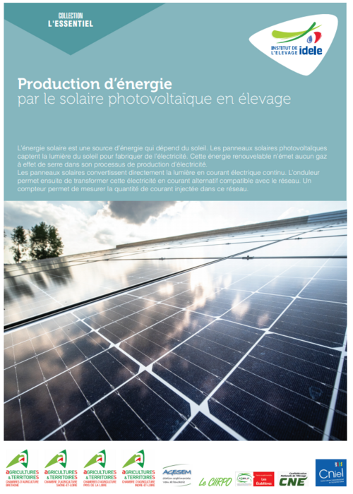 découvrez l'élevage photovoltaïque, une solution innovante alliant agriculture et production d'énergie solaire. apprenez comment cette pratique durable contribue à la rentabilité des exploitations tout en préservant l'environnement.