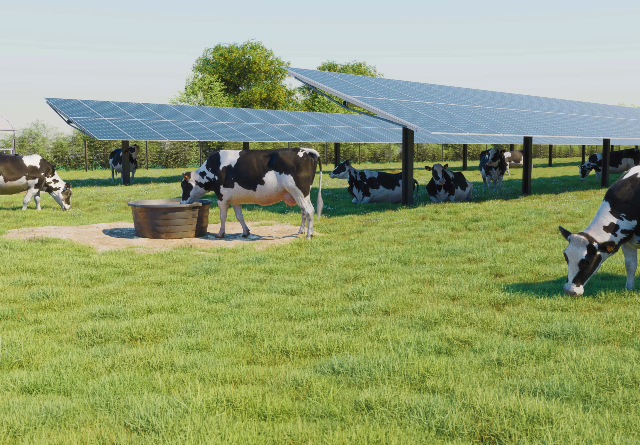 découvrez l'élevage photovoltaïque, une solution innovante alliant production d'énergie solaire et agriculture. apprenez comment cette pratique durable contribue à la transition énergétique tout en préservant les terres agricoles.
