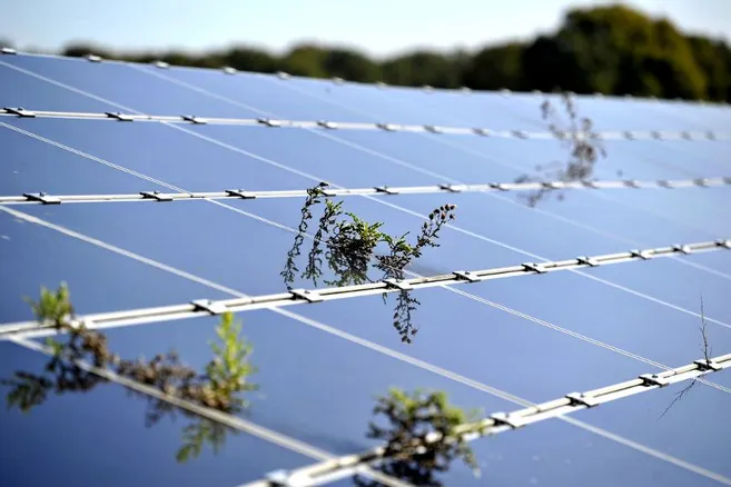 découvrez notre ferme photovoltaïque, un espace dédié à la production d'énergie renouvelable grâce à des panneaux solaires. engagez-vous pour un avenir durable tout en profitant des bénéfices d'une énergie propre et respectueuse de l'environnement.