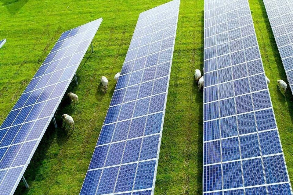 découvrez notre ferme solaire, un endroit innovant où l'énergie renouvelable est à l'honneur. produisez de l'électricité à partir de la puissance du soleil tout en protégeant l'environnement. rejoignez la révolution verte et investissez dans un avenir durable !
