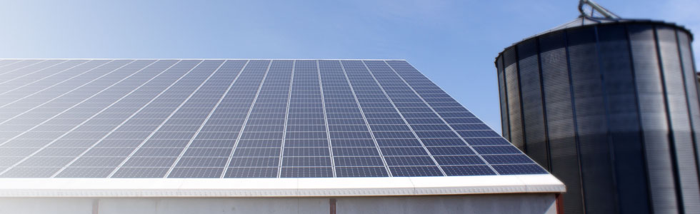 découvrez comment devenir un investisseur dans le secteur du photovoltaïque (pv) et exploiter les opportunités offertes par l'énergie solaire. explorez les avantages financiers et environnementaux, ainsi que les conseils pour investir efficacement dans des projets solaires durables.