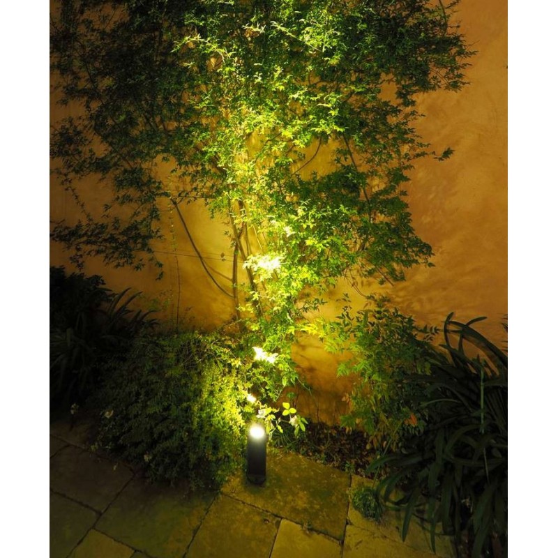 découvrez le jardin solaire, un espace extérieur illuminé par l'énergie du soleil. apprenez à créer un jardin éco-responsable, avec des éclairages solaires, des plantes adaptées et des astuces pour profiter pleinement de chaque rayon de lumière. transformez votre jardin en un havre de paix lumineux et durable.