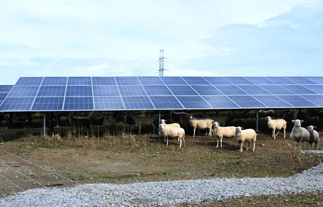 découvrez le lancement solaire, une révolution énergétique prometteuse. explorez comment cette initiative transforme l'avenir des énergies renouvelables et favorise une planète durable grâce à des technologies innovantes et écologiques.