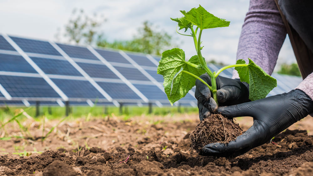 découvrez les panneaux organiques, une solution innovante et écologique pour vos projets de construction et de décoration. fabriqués à partir de matériaux durables, ces panneaux offrent une alternative respectueuse de l'environnement, alliant esthétisme et performance.