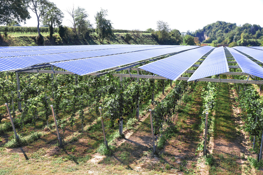 découvrez comment les panneaux photovoltaïques peuvent transformer l'agriculture en france. optimisez vos rendements tout en réduisant votre empreinte carbone grâce à des solutions énergétiques innovantes et durables adaptées aux besoins des agriculteurs.