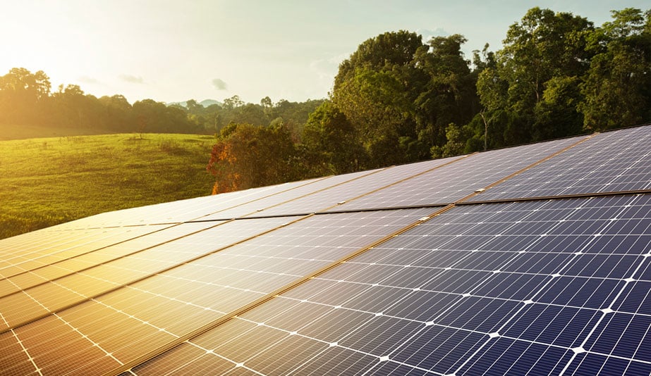 découvrez les tendances et innovations des panneaux solaires pour 2025. optimisez votre consommation énergétique et réduisez votre empreinte carbone grâce aux solutions solaires les plus avancées. explorez notre guide complet pour choisir le meilleur équipement et investir dans un avenir durable.