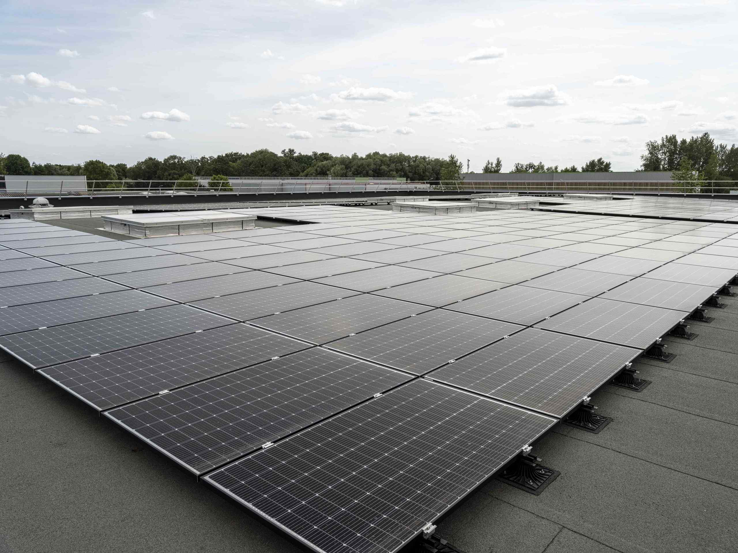 découvrez nos solutions de panneaux solaires à bischheim pour une énergie renouvelable et durable. profitez d'économies sur vos factures d'électricité tout en contribuant à la protection de l'environnement. contactez-nous pour un devis personnalisé !