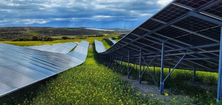 découvrez l'avenir du photovoltaïque en 2025 : innovations technologiques, tendances du marché, et solutions énergétiques durables pour un monde plus vert. restez informé sur les développements et opportunités à ne pas manquer.