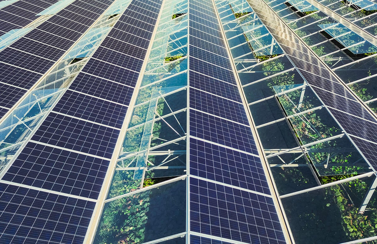 découvrez les avantages des panneaux photovoltaïques pour une énergie renouvelable et durable. informez-vous sur leur fonctionnement, leur installation et comment ils peuvent réduire votre facture d'électricité tout en préservant l'environnement.